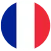 French flag icon